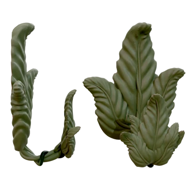 Vine lá móc cho dải lệnh