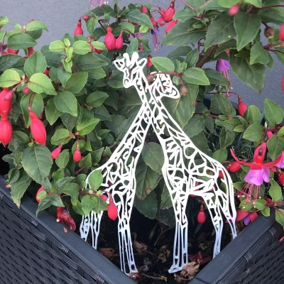 Thủ thuật hươu cao cổ