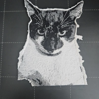 MICHAL THE CAT (HUEFORGE)