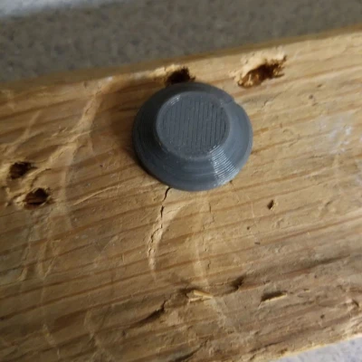 Nắp hoặc nắp vít số 8