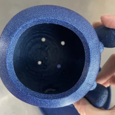 Người trồng pokemon kỳ lạ được phối lại