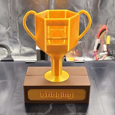 Cúp in 3D: Cầu nối
