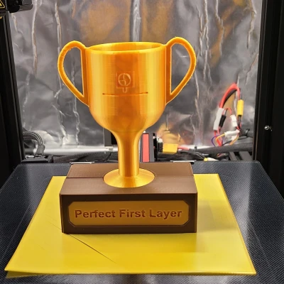 Cúp in 3D: Lớp đầu tiên hoàn hảo
