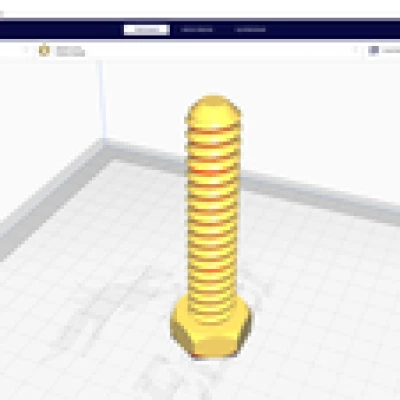 Giám sát hỗ trợ chân