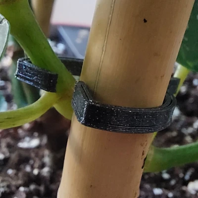 Người giữ nhà máy (Circlip)