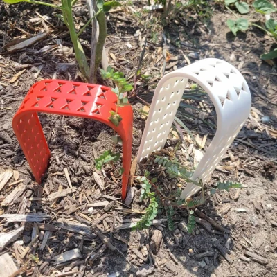 Trellis thực vật mọng nước hoặc nhỏ