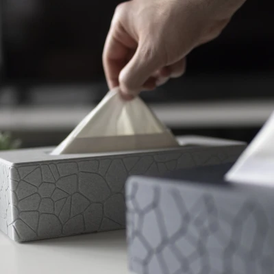 Bìa hộp mô số 1 - Mẫu đá cong