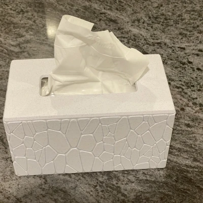 Hộp mô kích thước đầy đủ (thương hiệu Kleenex)