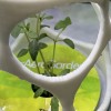 Hỗ trợ Aerogarden/Cây giống (có thể xếp chồng lên nhau) - Thumbnail 1