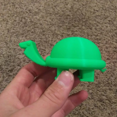 Rùa nhỏ dễ thương