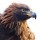edi_the_eagle_408471