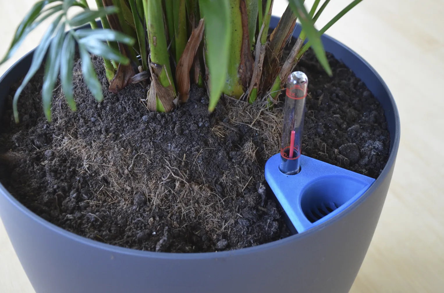 Bộ chèn chậu tự tưới Lechuza