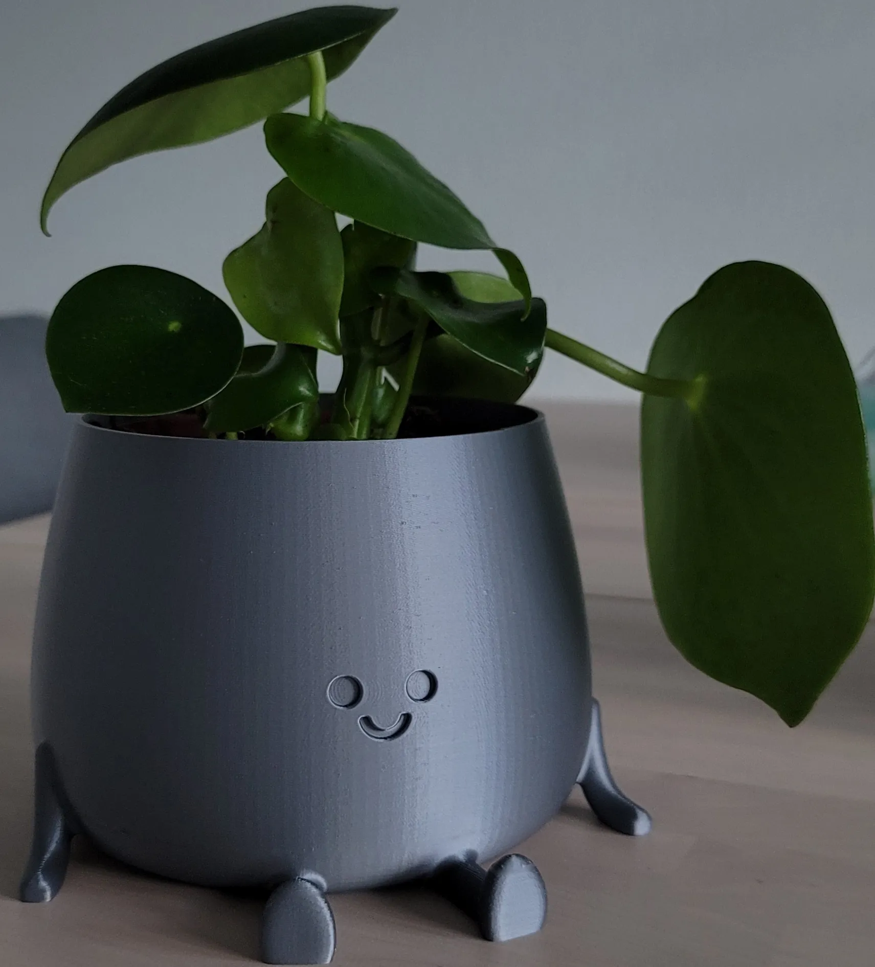 Chậu cây vui vẻ đa năng cho nhà và vườn