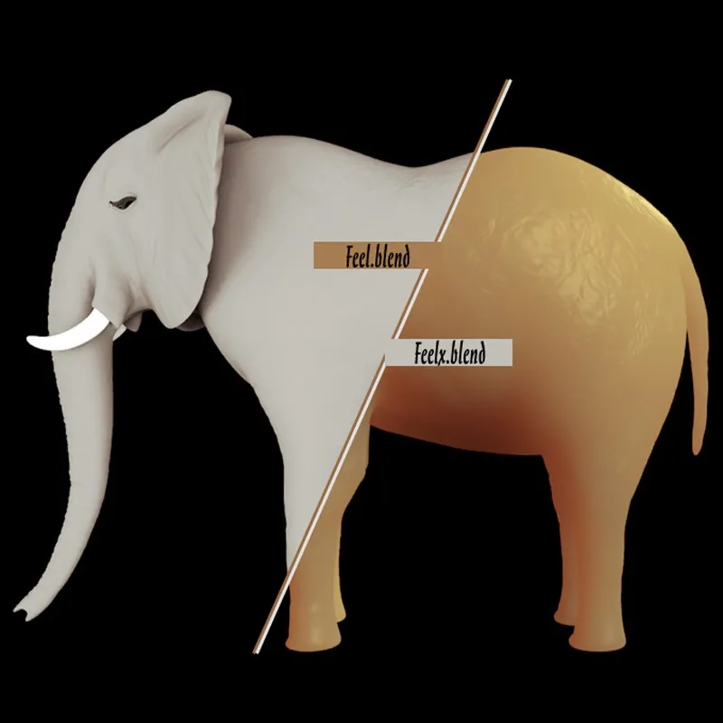 Lưới voi công cộng trong không gian nghệ thuật 3D