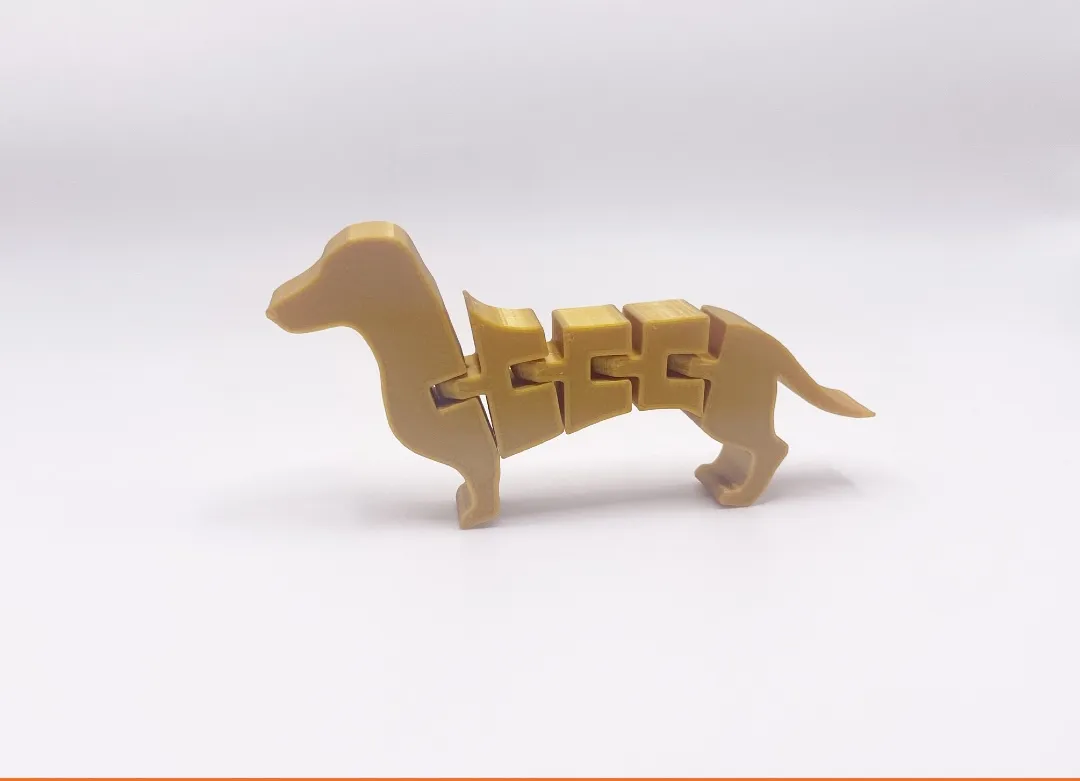 Chó Dachshund linh hoạt với tư thế không hoàn hảo