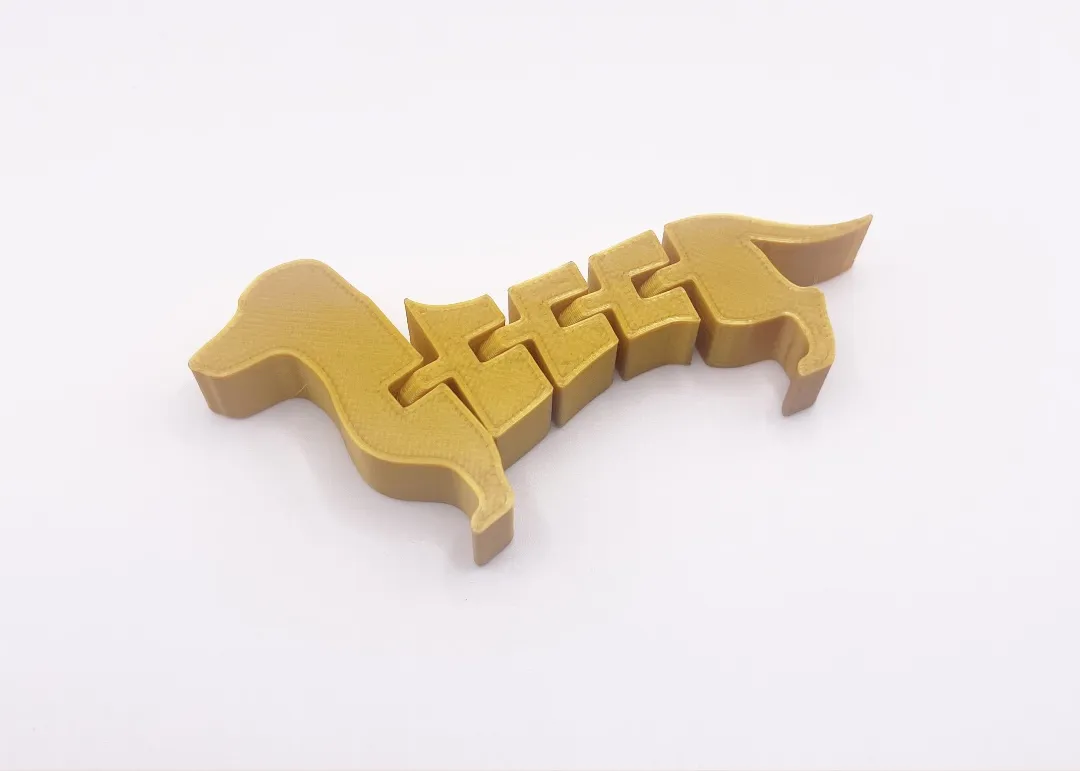 Chó Dachshund linh hoạt với tư thế không hoàn hảo