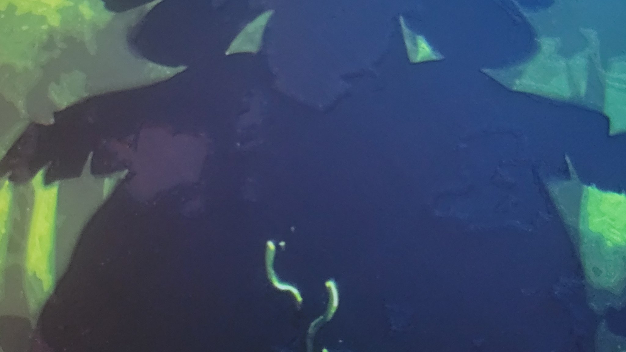 Mew - Nhân vật Pokémon khởi đầu huyền thoại