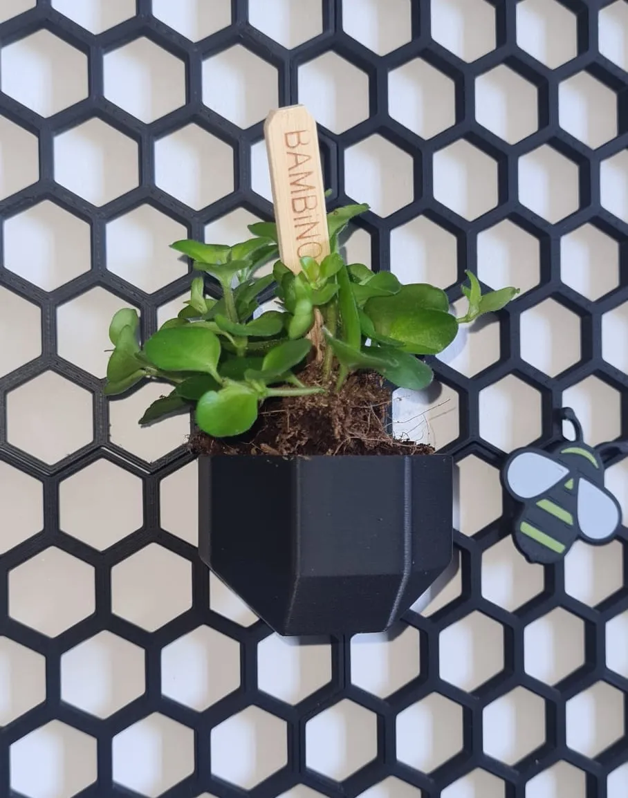 Chậu cây hình khối cho tường lưu trữ tổ ong