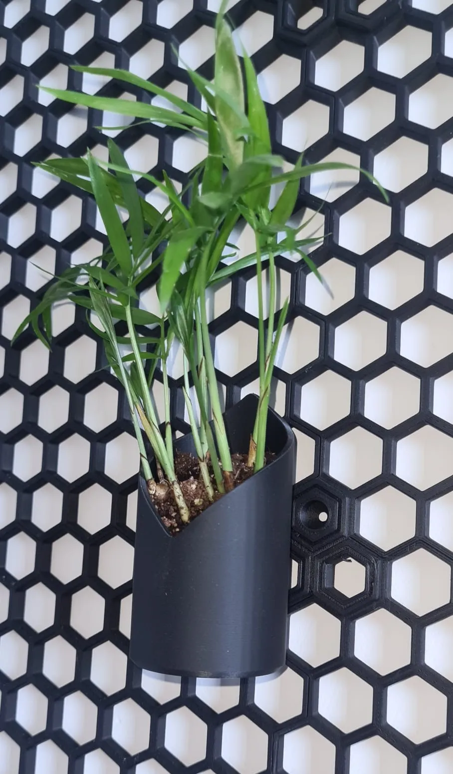 Chậu cây nhỏ cho tường lưu trữ tổ ong HSW