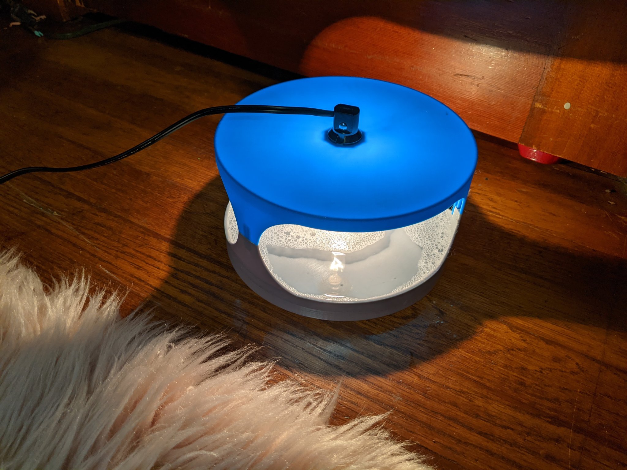 Bẫy bọ chét sử dụng ánh sáng xanh và nước xà phòng