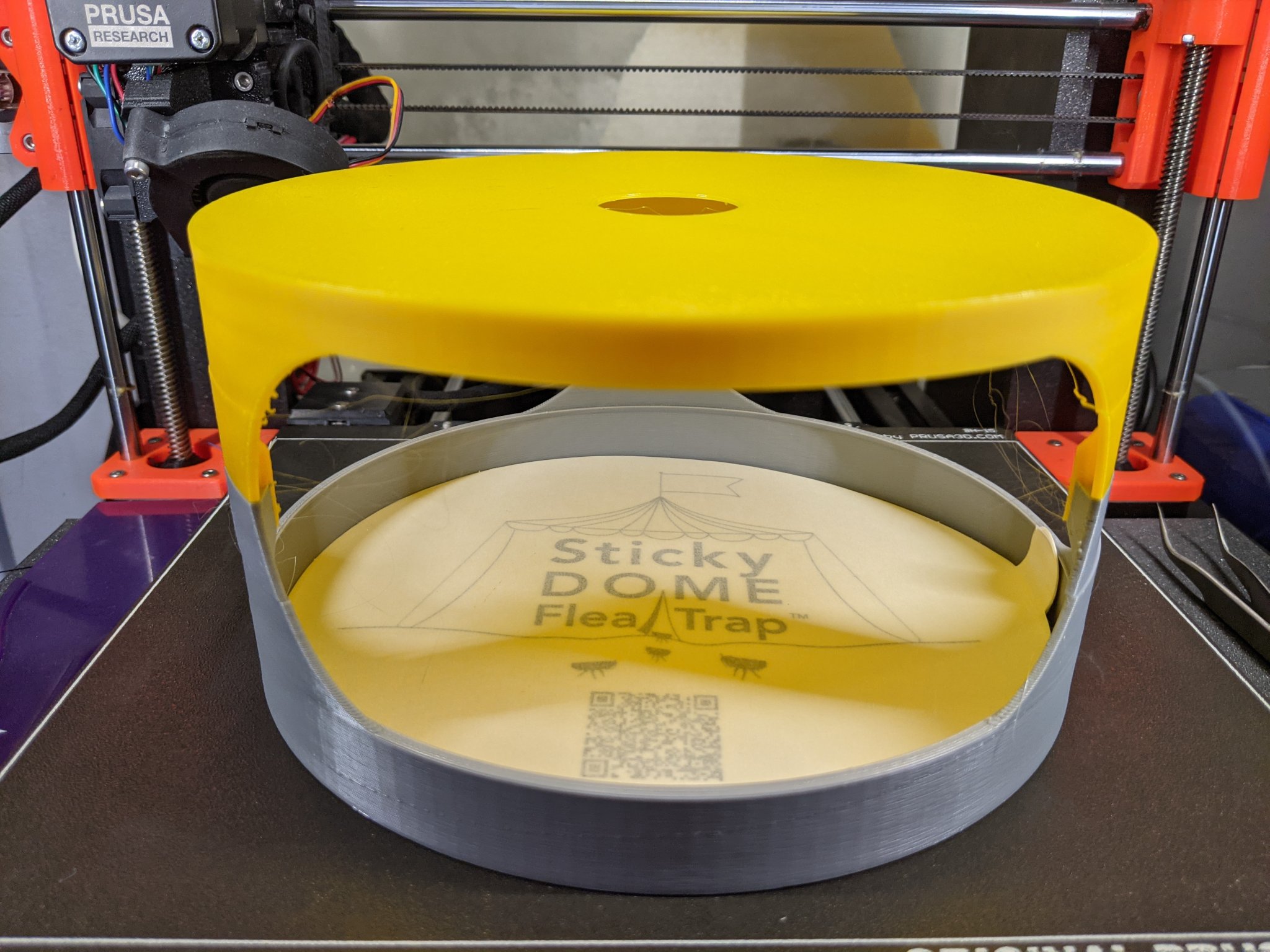 Bẫy bọ chét sử dụng ánh sáng xanh và nước xà phòng