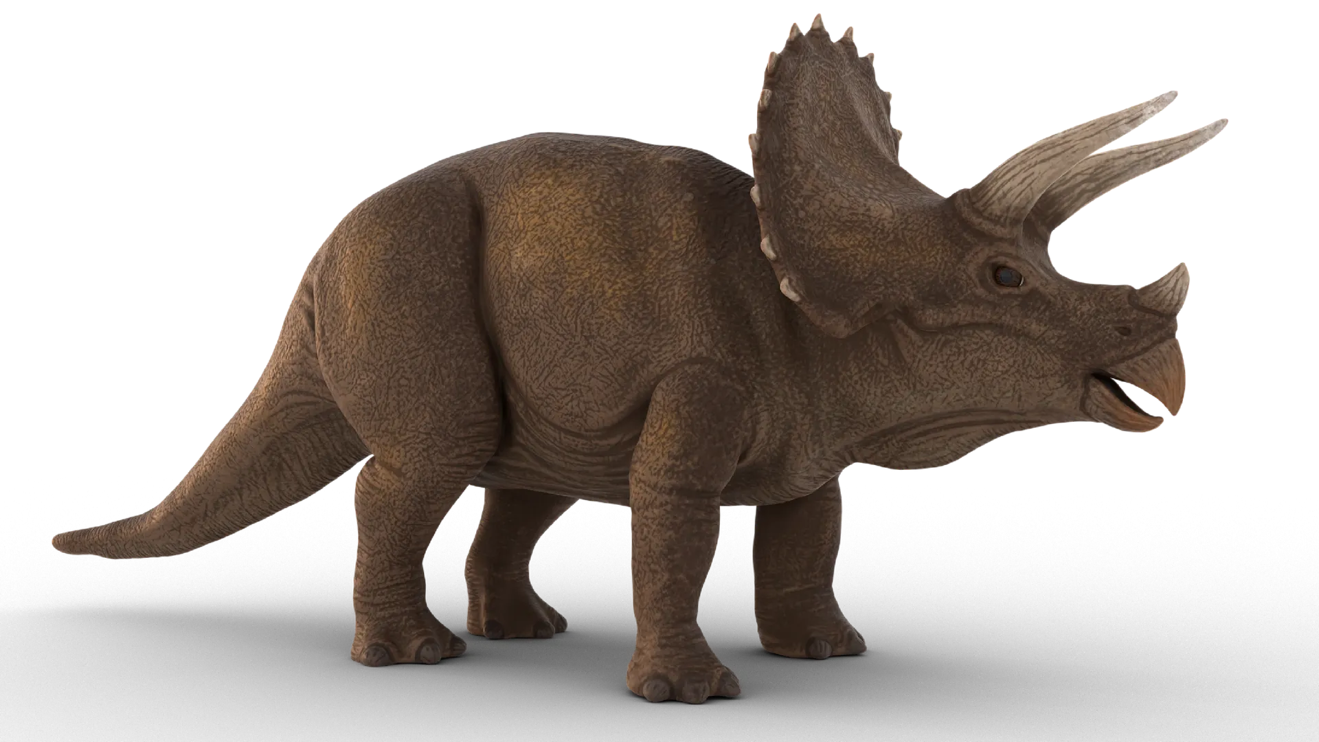 Mô hình triceratops linh hoạt cho trẻ em