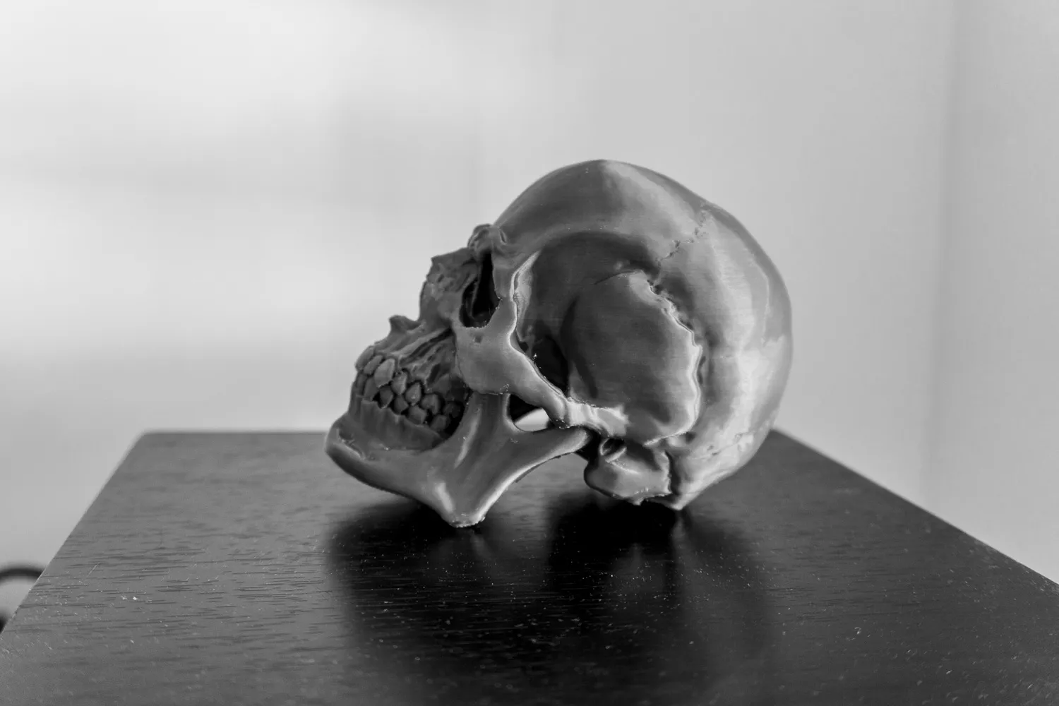 *Hộp sọ người chi tiết với thiết kế thực tế*