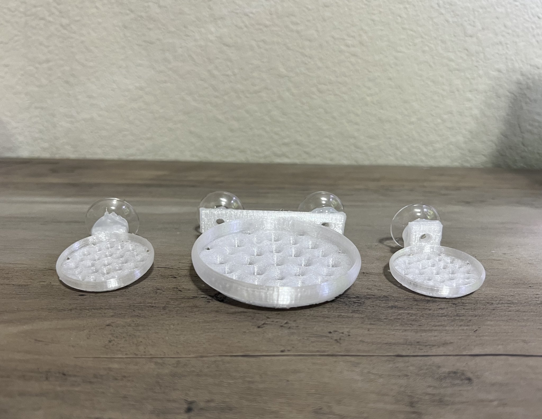 Giá đỡ nổi cho bóng Marimo và rêu trong bể cá