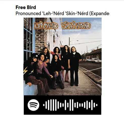 Móc khóa bài hát Free Bird nổi tiếng của Rolling Stones