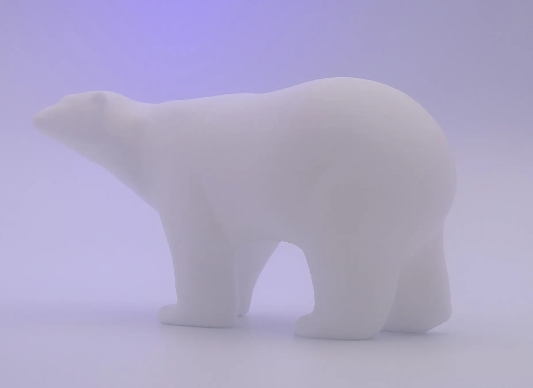 Mô hình gấu Bắc Cực với các tính năng ấn tượng