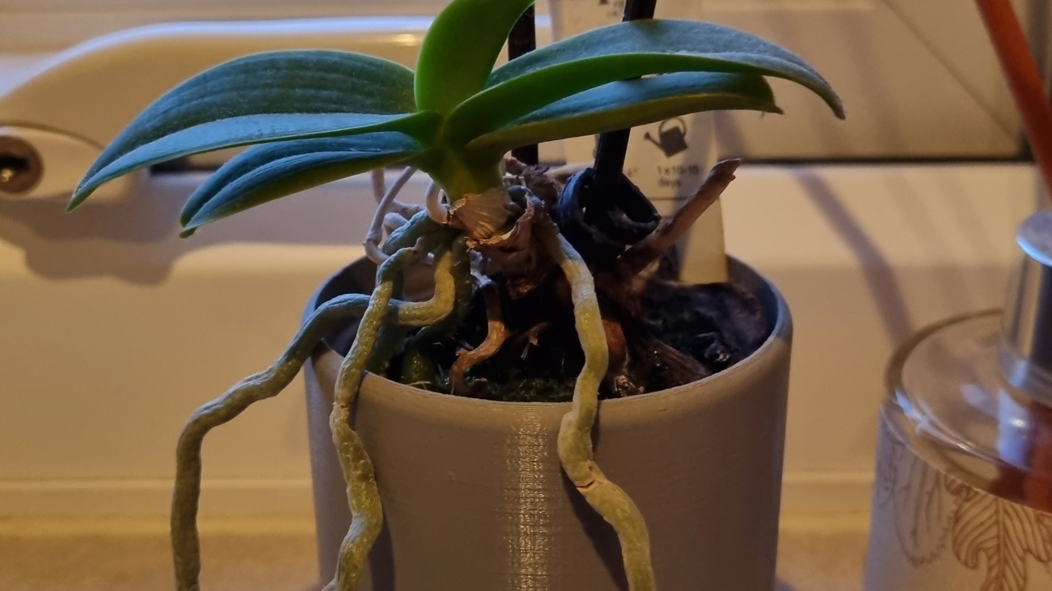 Chậu cây nhỏ trang trí nội thất hiện đại