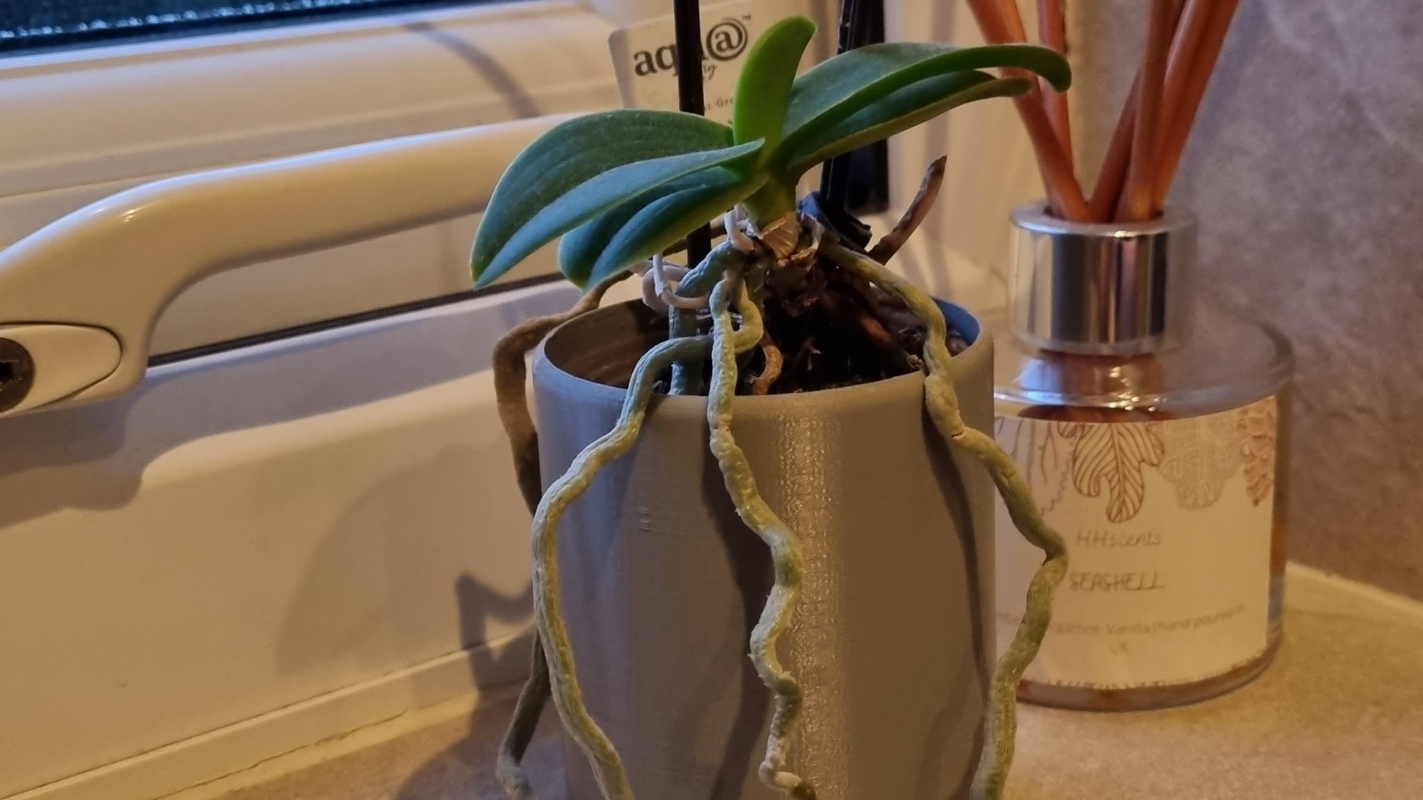 Chậu cây nhỏ trang trí nội thất hiện đại