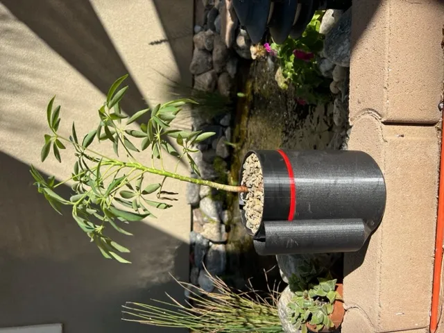 Chậu cây tự tưới nước cải tiến với khả năng xoay