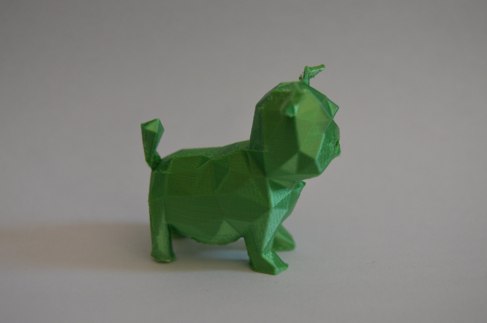 Chó low poly hoặc heo con