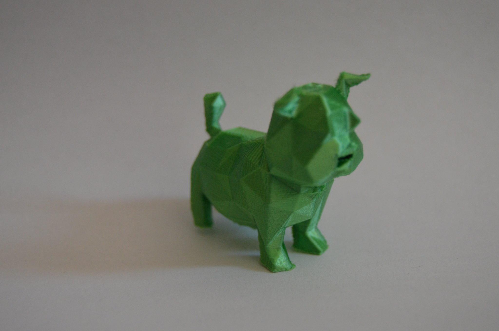 Chó low poly hoặc heo con