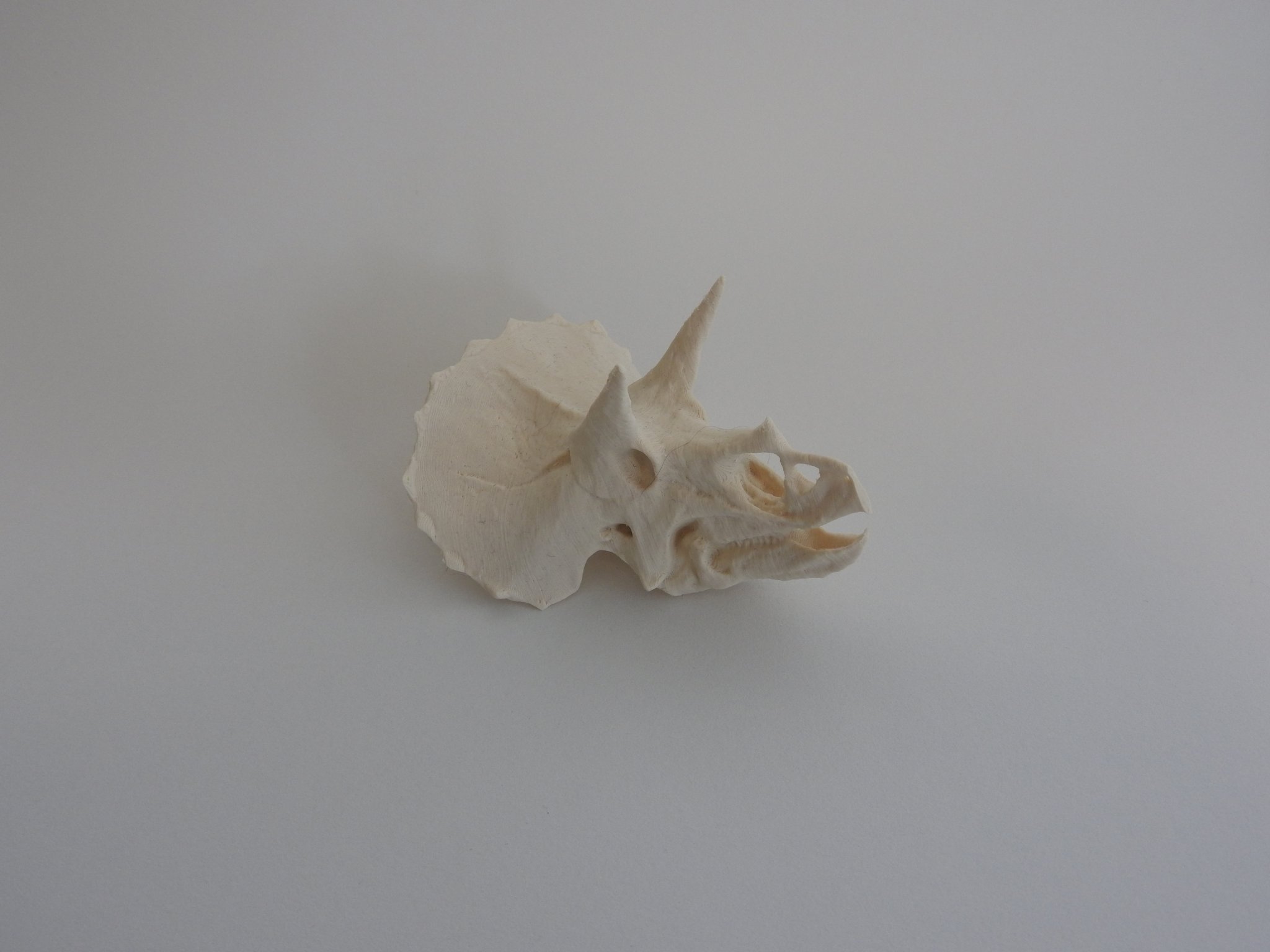 Giá đỡ phông nền chụp ảnh chuyên nghiệp