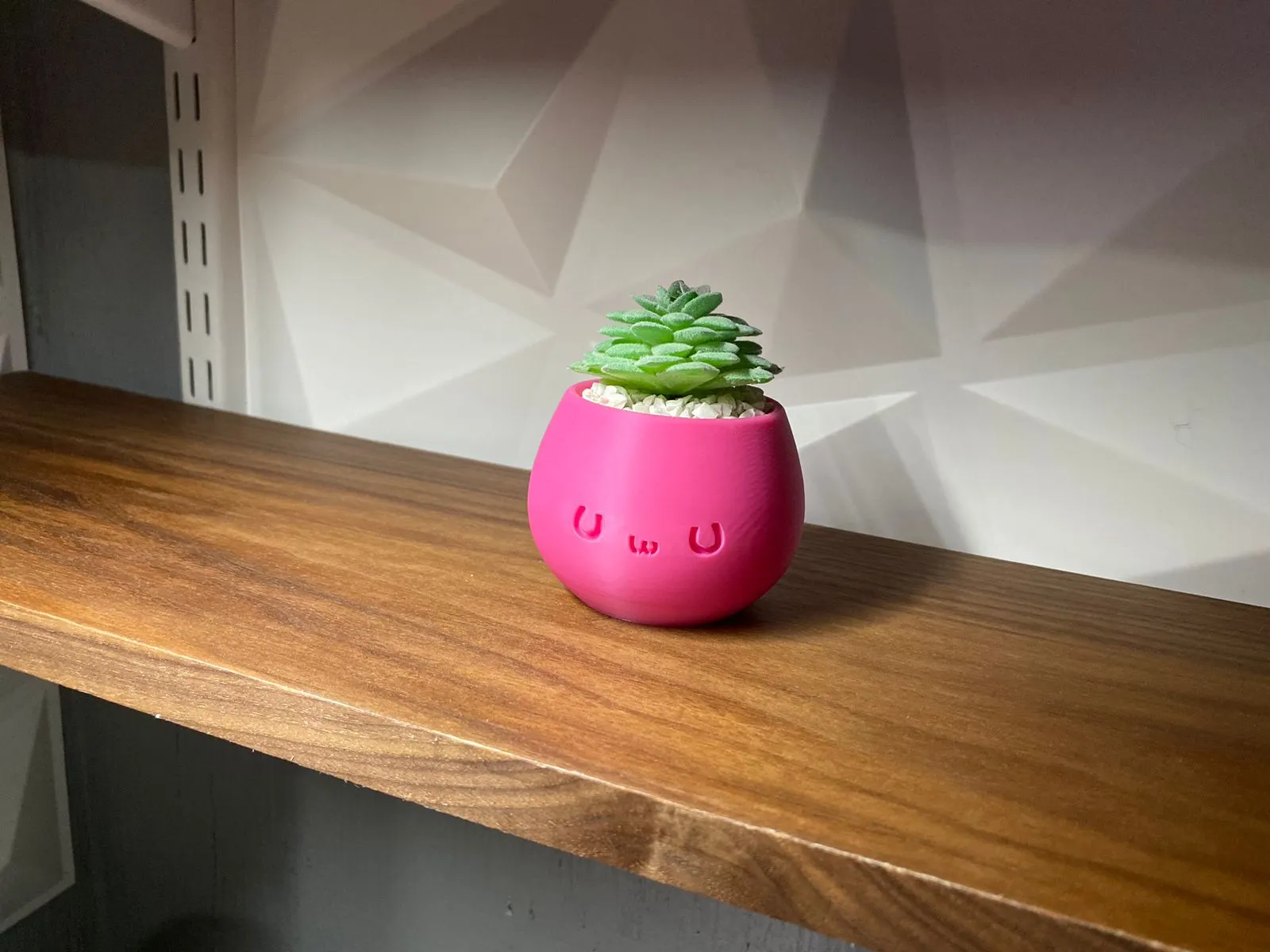 Chậu trang trí Kawaii đáng yêu cho không gian sống