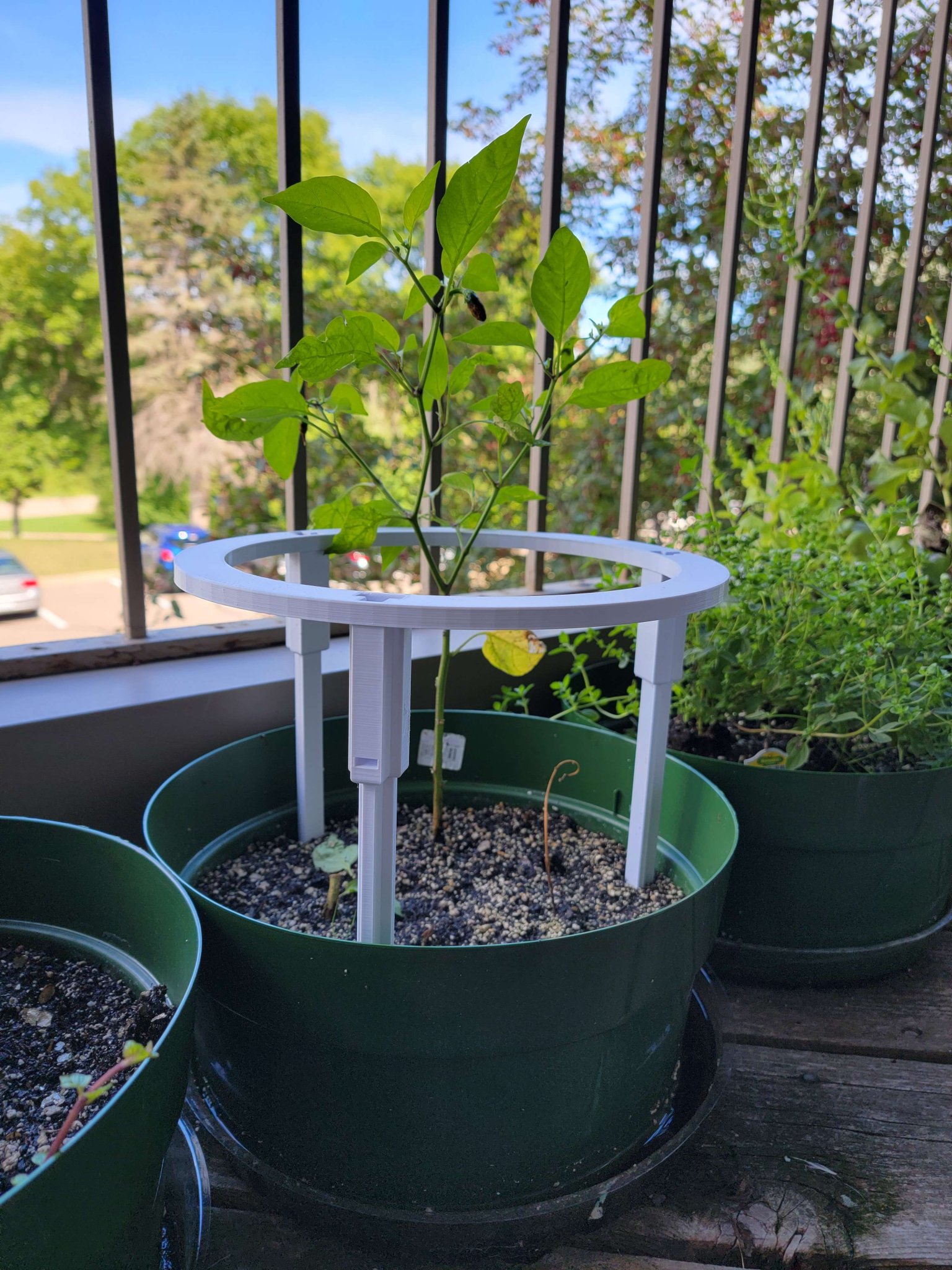 Giá đỡ cây trồng mô-đun cho cây ăn trái như cà chua và ớt