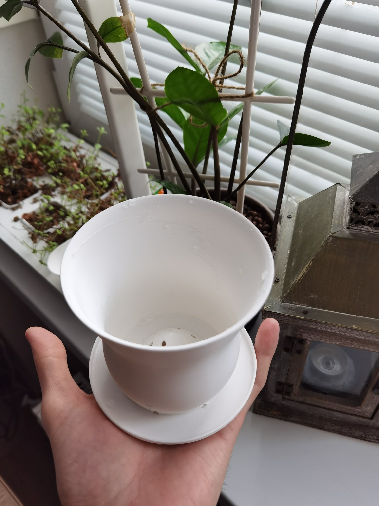 Chậu hoa trang trí nội thất hiện đại