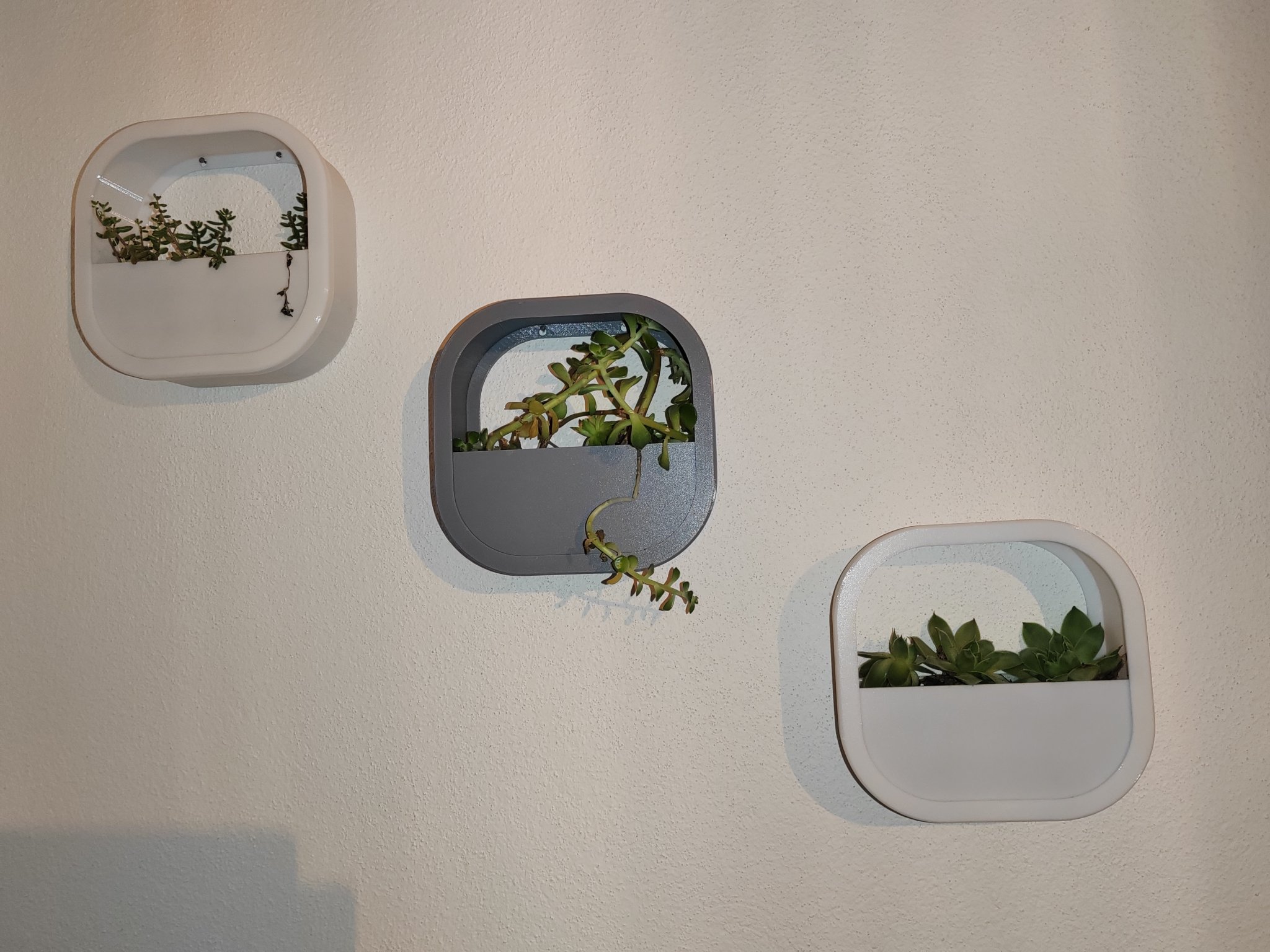 Chậu hoa treo tường dễ in từ vật liệu PETG