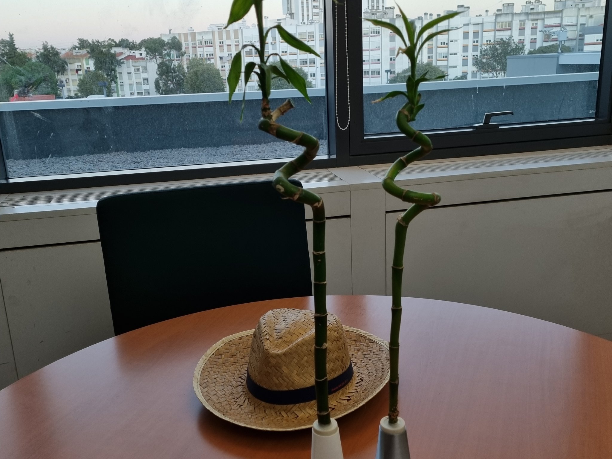 Giá đỡ Bambu cho ống thử IKEA DRACAENA