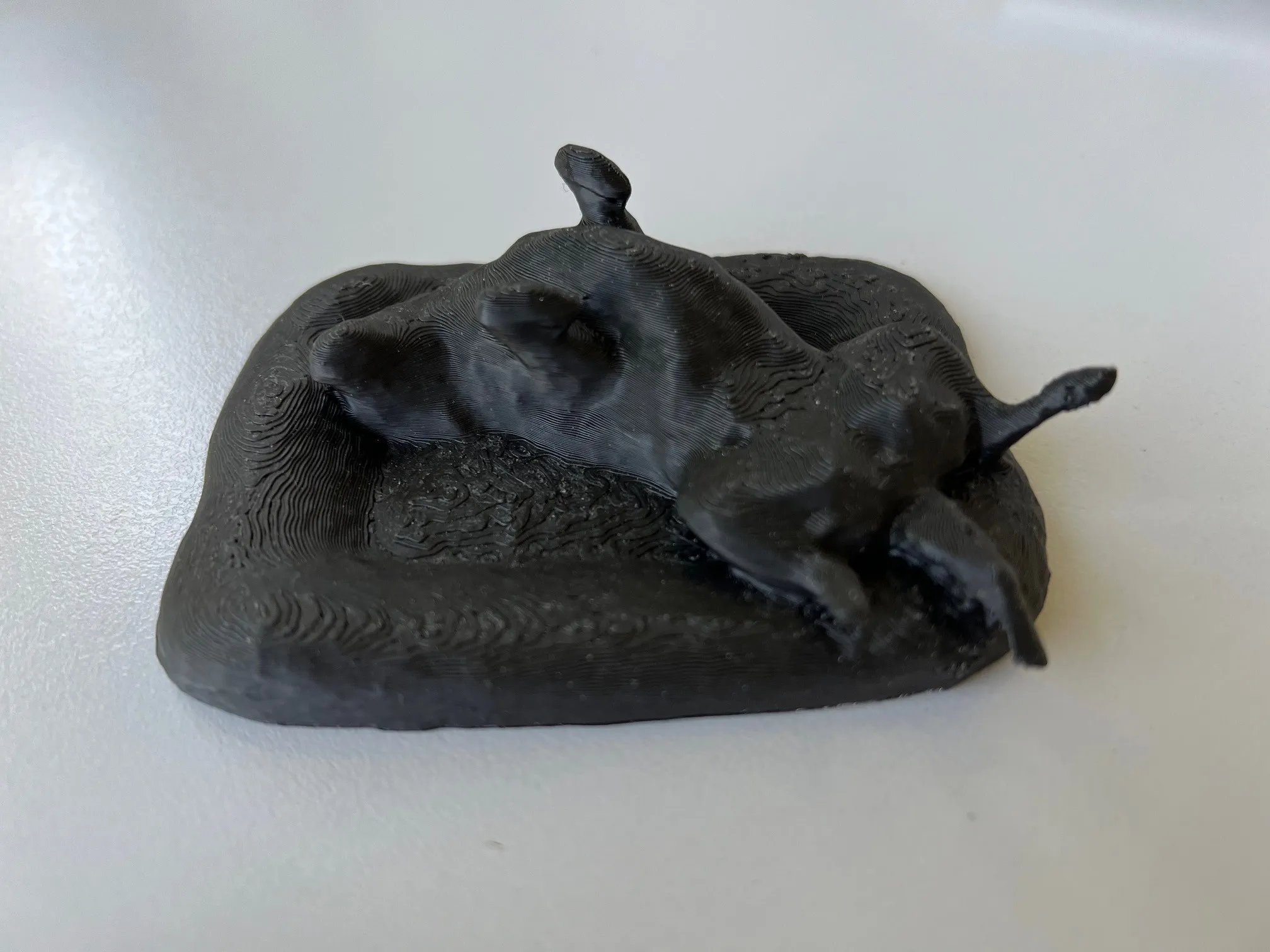 Chó Labrador Amálka nằm trên giường ấm áp