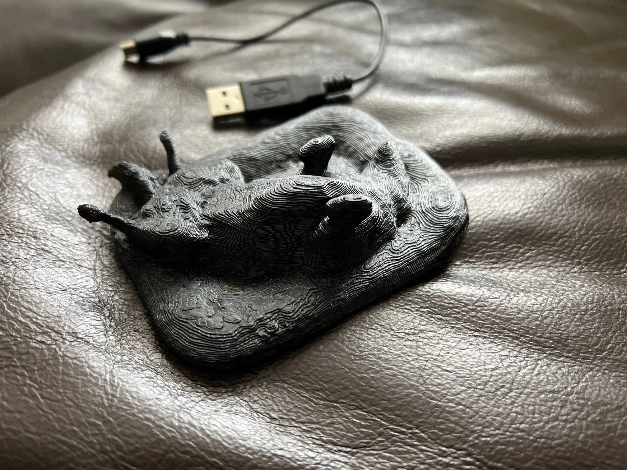 Chó Labrador Amálka nằm trên giường ấm áp