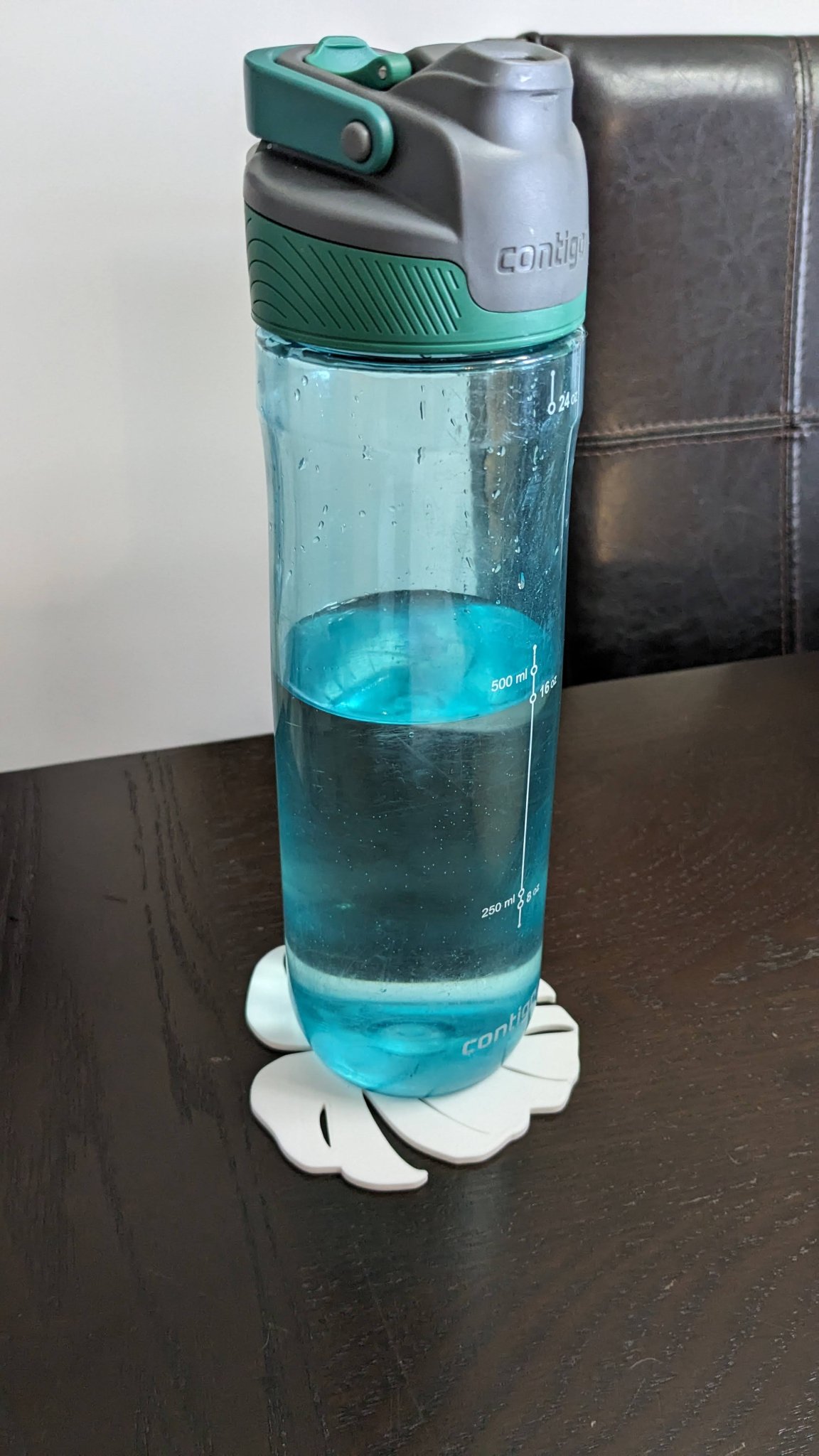 Đế lót ly hình lá Monstera Deliciosa