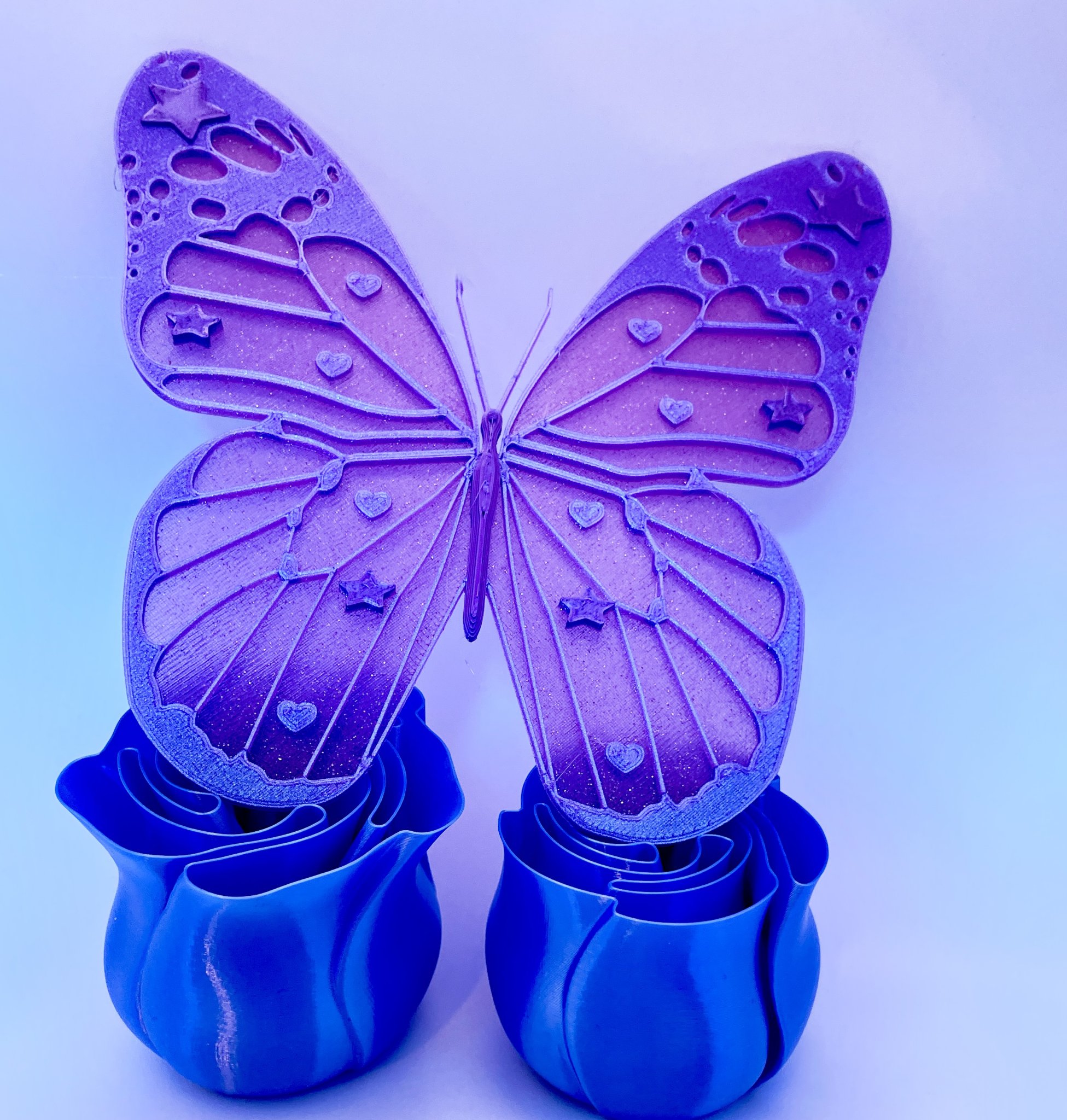 Bướm Nhiều Màu Sắc Cho Người Yêu Thích Hình Dạng và Màu Sắc