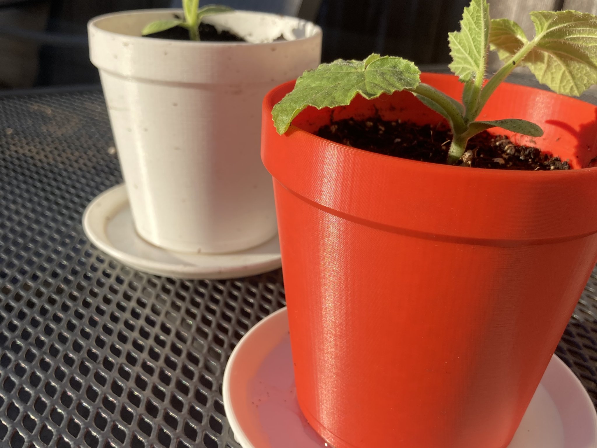 Chậu cây Not-A-Clay độc đáo cho trang trí nhà cửa