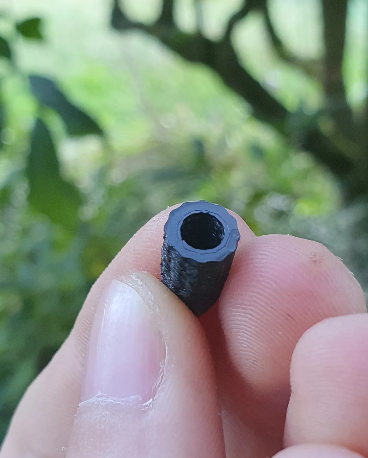 Nắp van xe đạp cho van Presta (van Pháp)