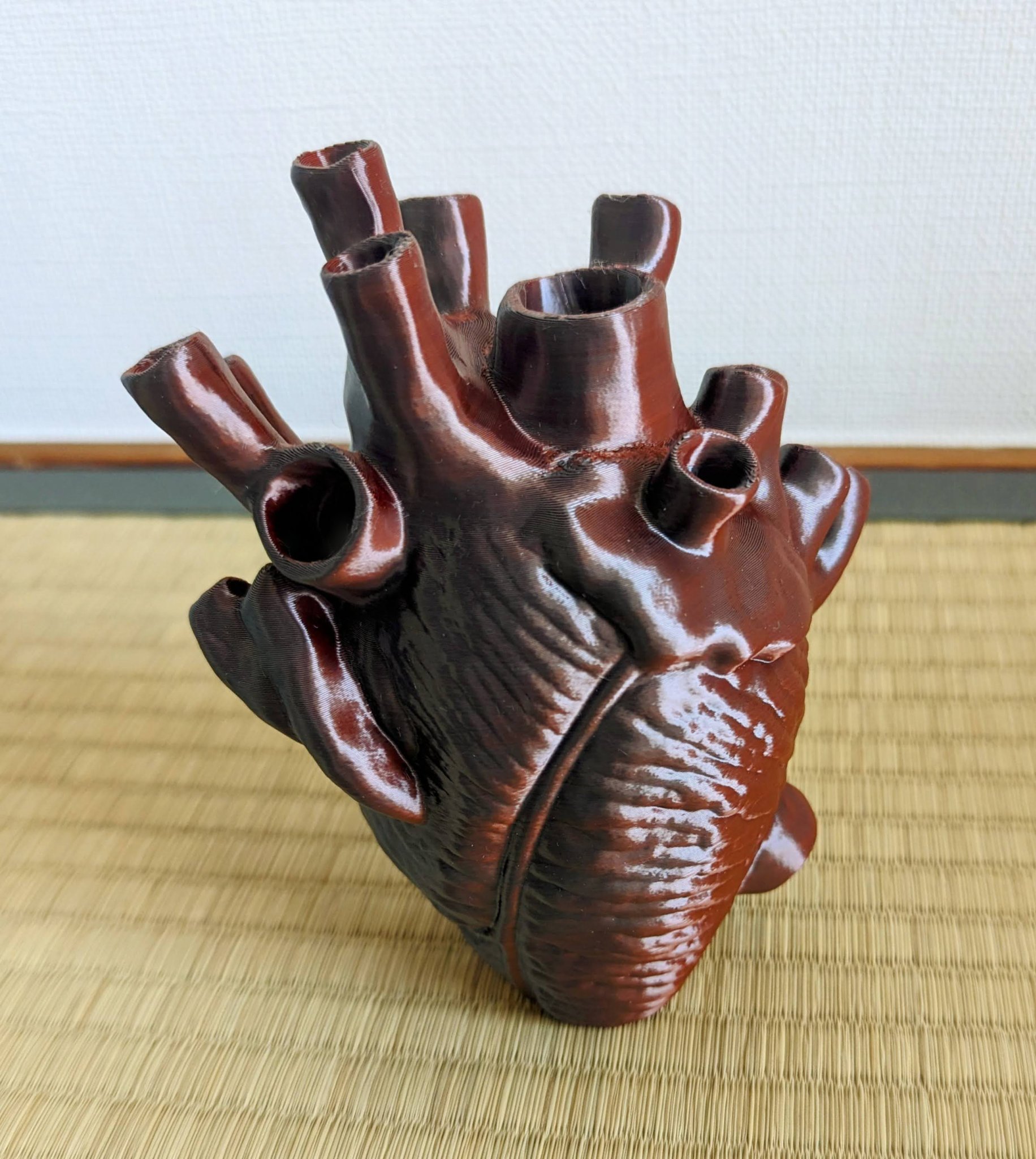 Trái tim giải phẫu tự đứng không cần hỗ trợ