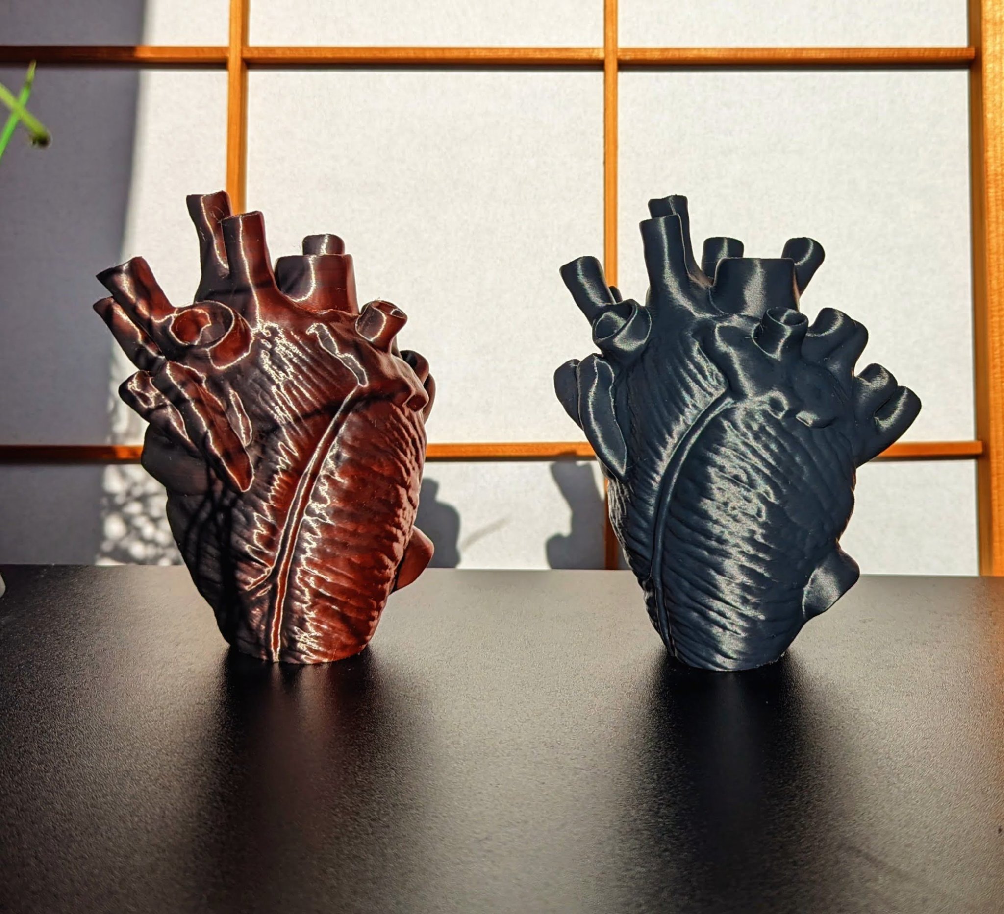 Trái tim giải phẫu tự đứng không cần hỗ trợ