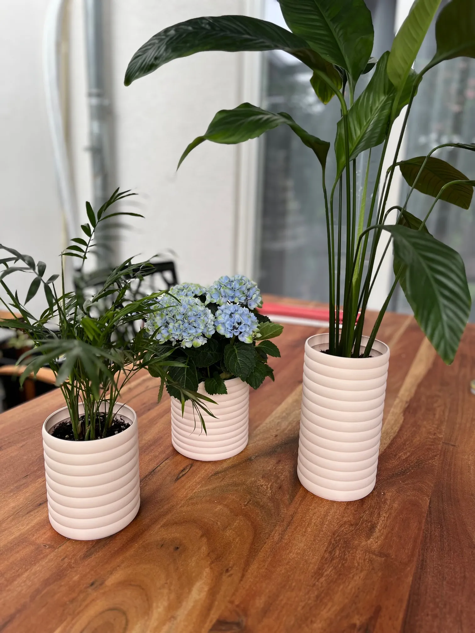 Chậu cây hiện đại hình tròn và hình vuông trang trí nội thất